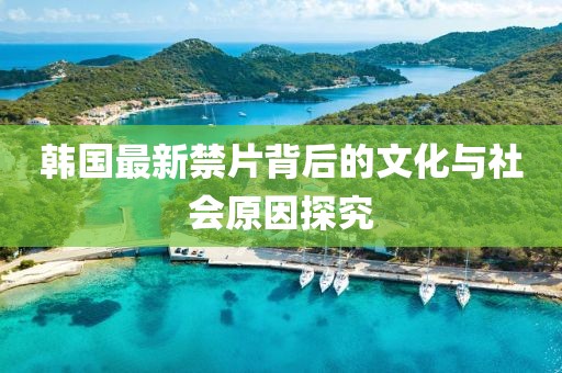韩国最新禁片背后的文化与社会原因探究