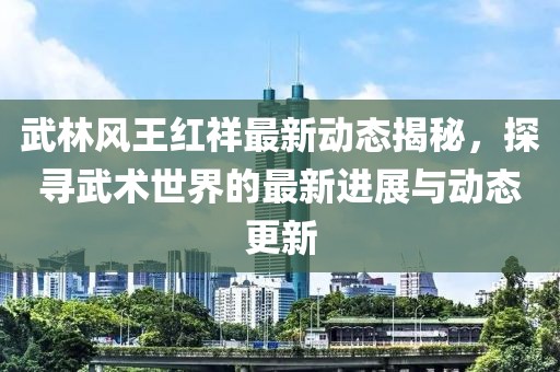 武林风王红祥最新动态揭秘，探寻武术世界的最新进展与动态更新