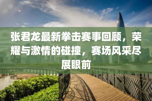 张君龙最新拳击赛事回顾，荣耀与激情的碰撞，赛场风采尽展眼前
