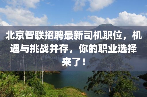 北京智联招聘最新司机职位，机遇与挑战并存，你的职业选择来了！