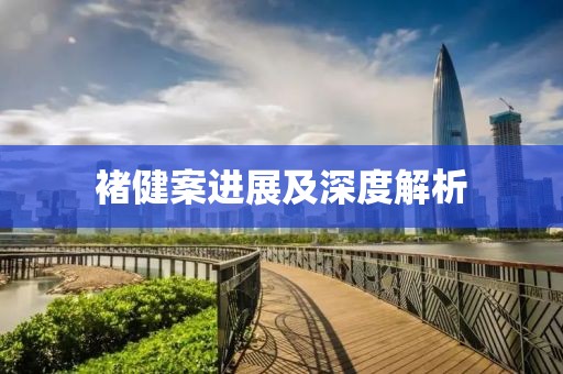 褚健案进展及深度解析