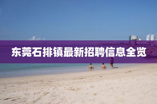 东莞石排镇最新招聘信息全览
