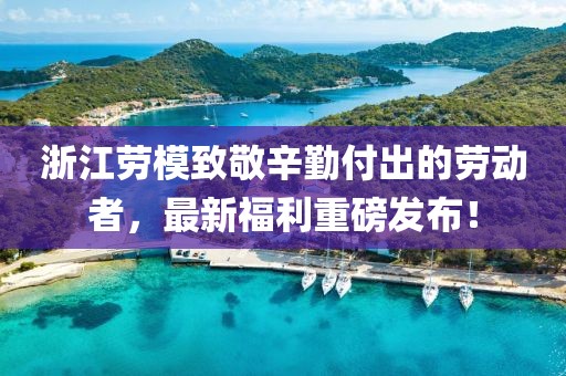 浙江劳模致敬辛勤付出的劳动者，最新福利重磅发布！