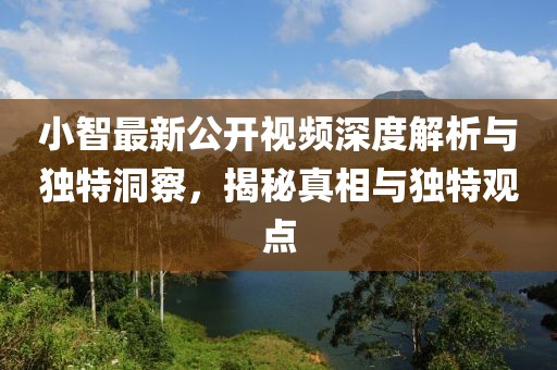 小智最新公开视频深度解析与独特洞察，揭秘真相与独特观点