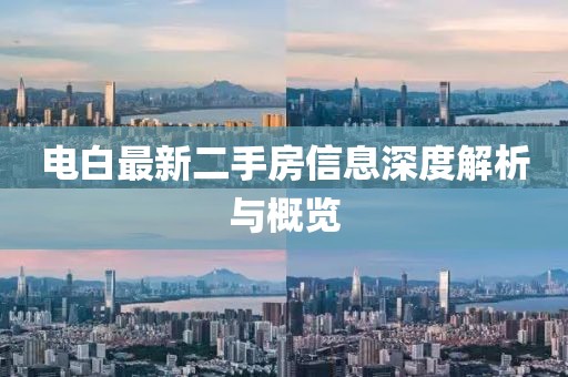 电白最新二手房信息深度解析与概览