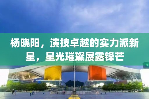 杨晓阳，演技卓越的实力派新星，星光璀璨展露锋芒