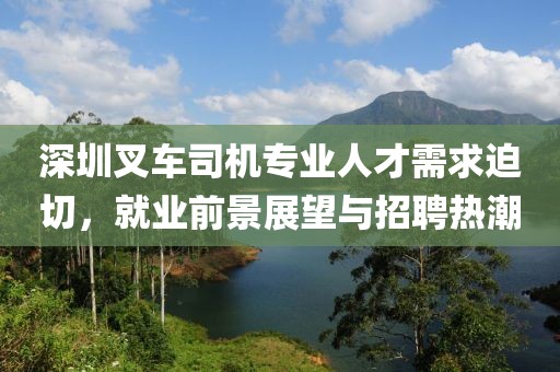 深圳叉车司机专业人才需求迫切，就业前景展望与招聘热潮