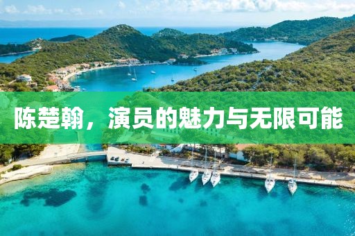 陈楚翰，演员的魅力与无限可能