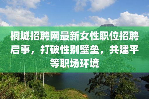 桐城招聘网最新女性职位招聘启事，打破性别壁垒，共建平等职场环境