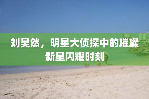刘昊然，明星大侦探中的璀璨新星闪耀时刻