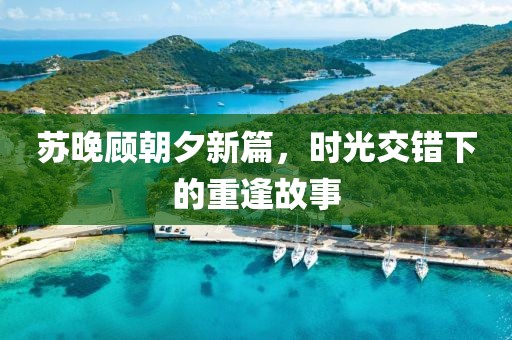 苏晚顾朝夕新篇，时光交错下的重逢故事