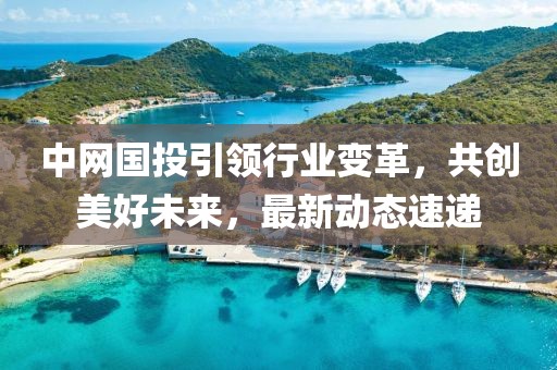 中网国投引领行业变革，共创美好未来，最新动态速递