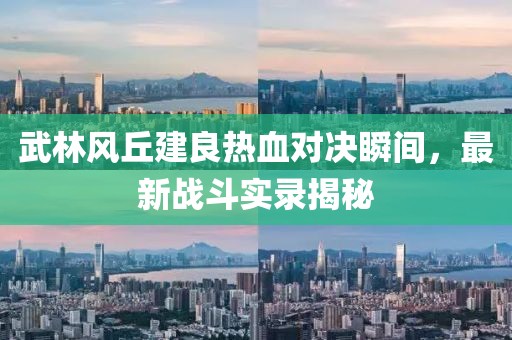 武林风丘建良热血对决瞬间，最新战斗实录揭秘