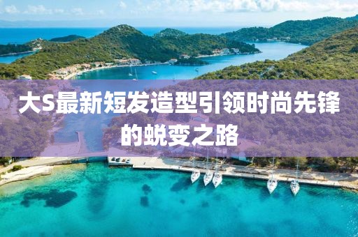 大S最新短发造型引领时尚先锋的蜕变之路