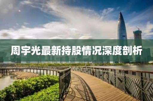 周宇光最新持股情况深度剖析