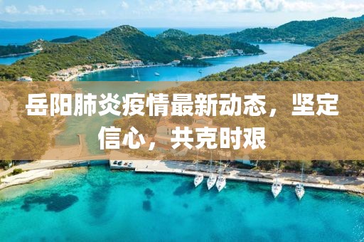岳阳肺炎疫情最新动态，坚定信心，共克时艰