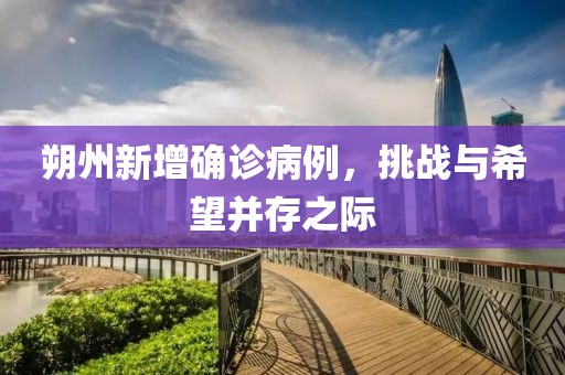 朔州新增确诊病例，挑战与希望并存之际