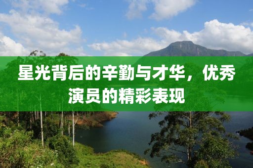 星光背后的辛勤与才华，优秀演员的精彩表现