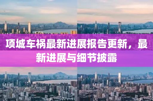项城车祸最新进展报告更新，最新进展与细节披露