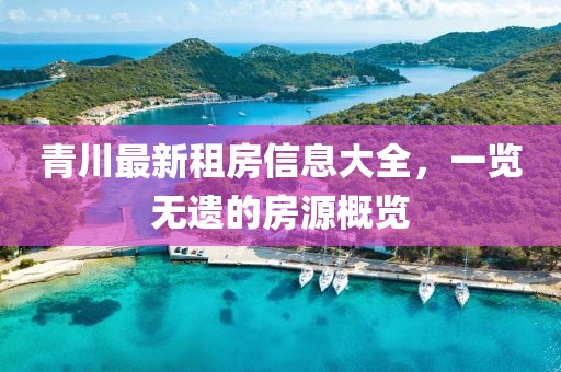 青川最新租房信息大全，一览无遗的房源概览