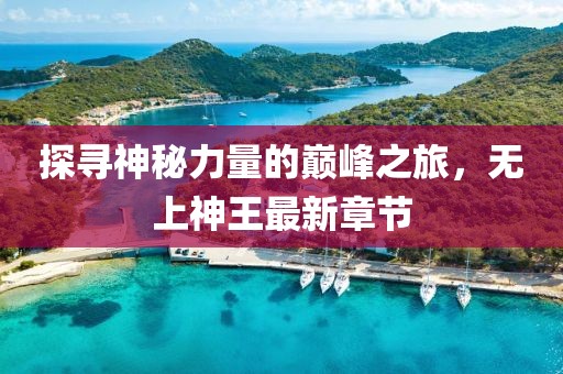 探寻神秘力量的巅峰之旅，无上神王最新章节