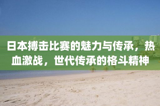 日本搏击比赛的魅力与传承，热血激战，世代传承的格斗精神