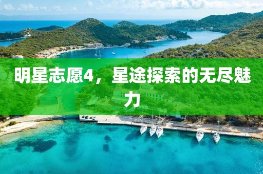 明星志愿4，星途探索的无尽魅力
