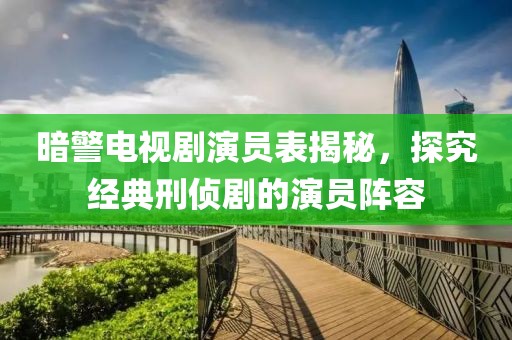 暗警电视剧演员表揭秘，探究经典刑侦剧的演员阵容