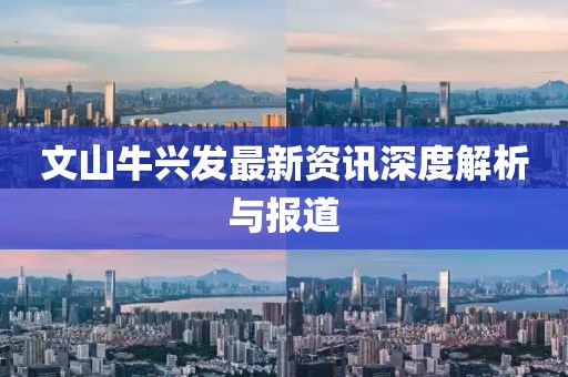 文山牛兴发最新资讯深度解析与报道