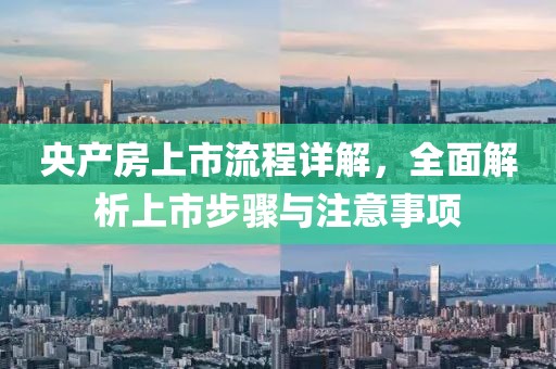 央产房上市流程详解，全面解析上市步骤与注意事项