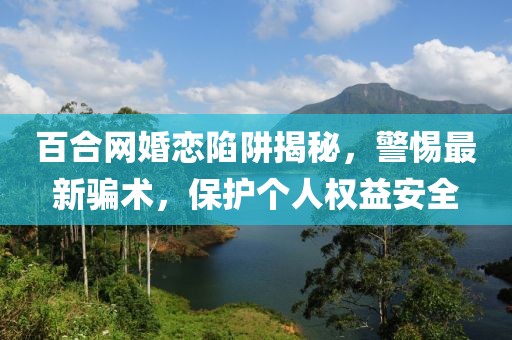 百合网婚恋陷阱揭秘，警惕最新骗术，保护个人权益安全