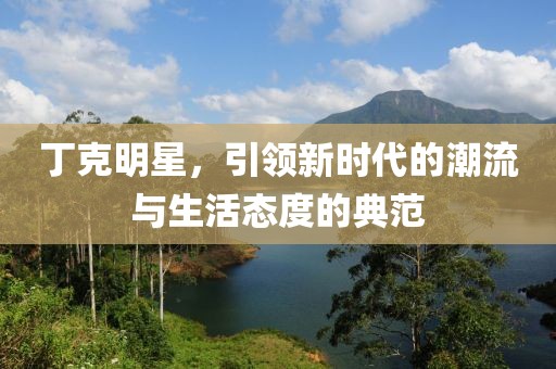 丁克明星，引领新时代的潮流与生活态度的典范