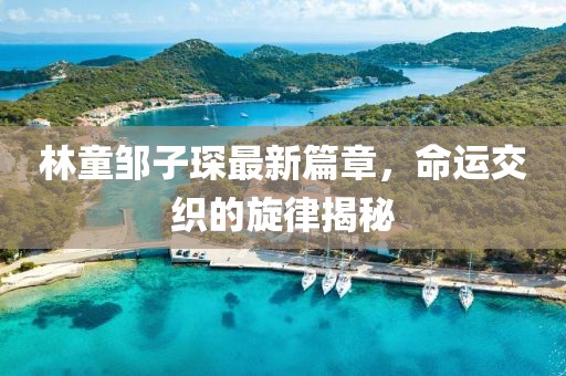 林童邹子琛最新篇章，命运交织的旋律揭秘