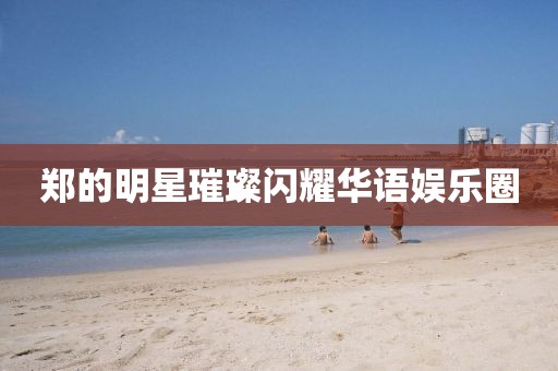 郑的明星璀璨闪耀华语娱乐圈