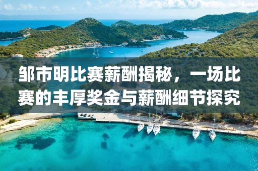 邹市明比赛薪酬揭秘，一场比赛的丰厚奖金与薪酬细节探究