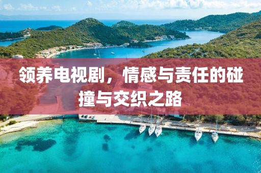 领养电视剧，情感与责任的碰撞与交织之路
