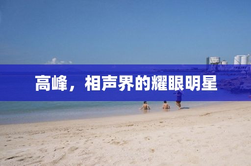 高峰，相声界的耀眼明星
