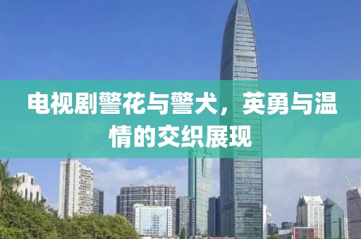 电视剧警花与警犬，英勇与温情的交织展现