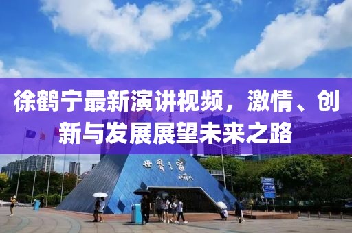 徐鹤宁最新演讲视频，激情、创新与发展展望未来之路