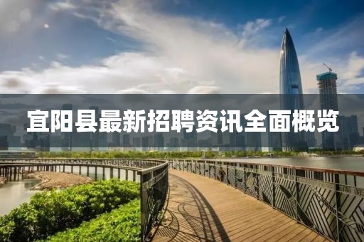 宜阳县最新招聘资讯全面概览
