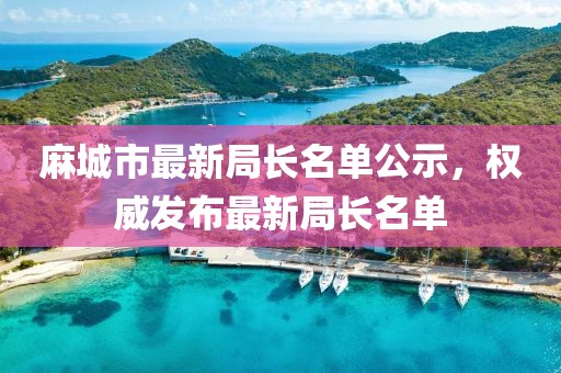 麻城市最新局长名单公示，权威发布最新局长名单