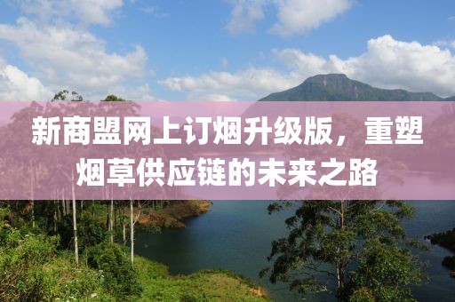 新商盟网上订烟升级版，重塑烟草供应链的未来之路