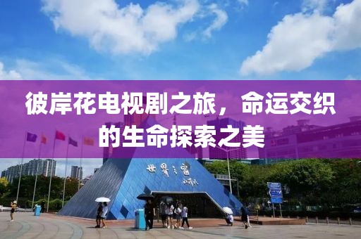 彼岸花电视剧之旅，命运交织的生命探索之美