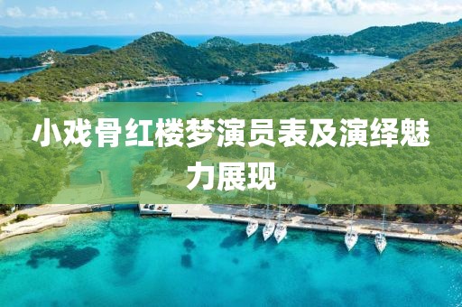 小戏骨红楼梦演员表及演绎魅力展现