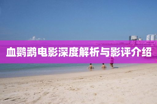血鹦鹉电影深度解析与影评介绍