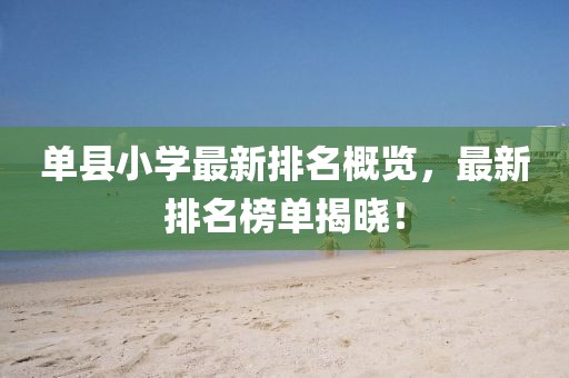 单县小学最新排名概览，最新排名榜单揭晓！