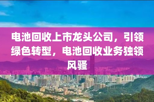 电池回收上市龙头公司，引领绿色转型，电池回收业务独领风骚
