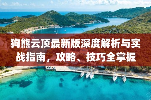 狗熊云顶最新版深度解析与实战指南，攻略、技巧全掌握