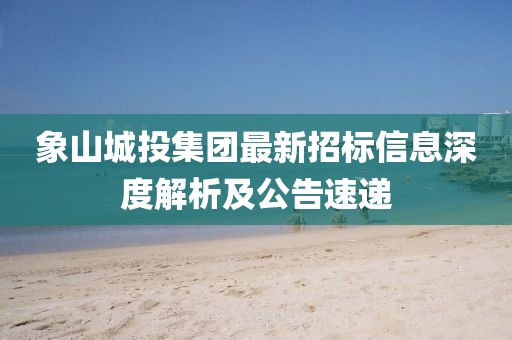 象山城投集团最新招标信息深度解析及公告速递