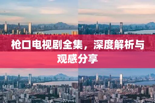 枪口电视剧全集，深度解析与观感分享
